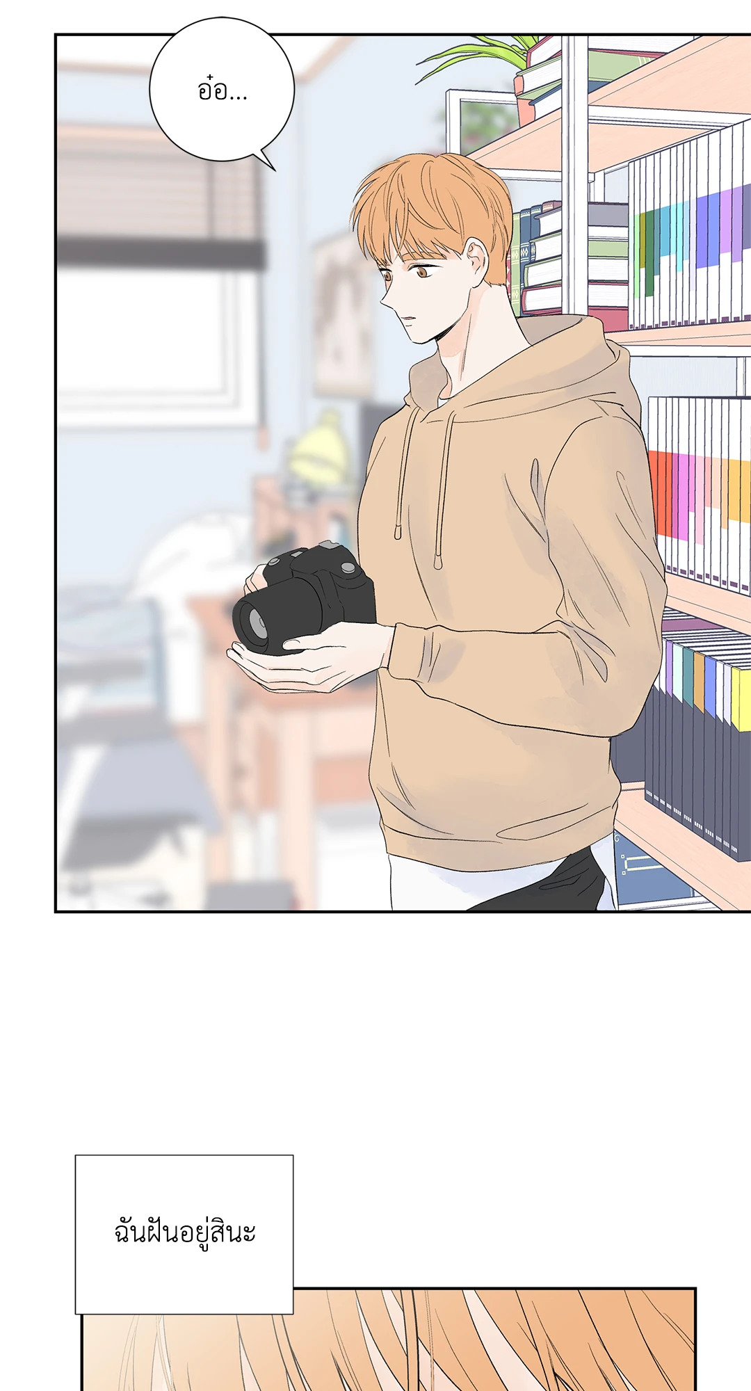 หน้า 29