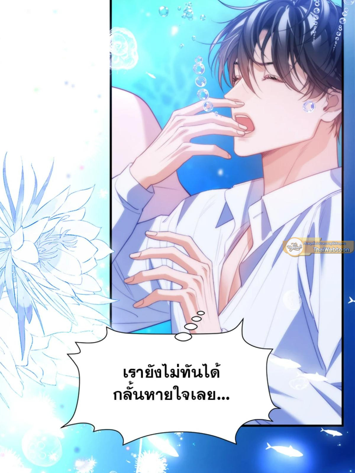 หน้า 43