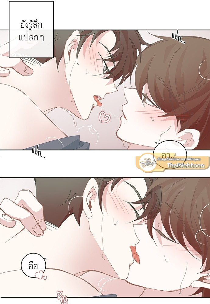หน้า 41