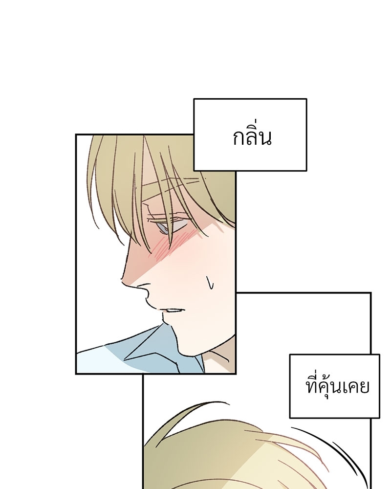 หน้า 41