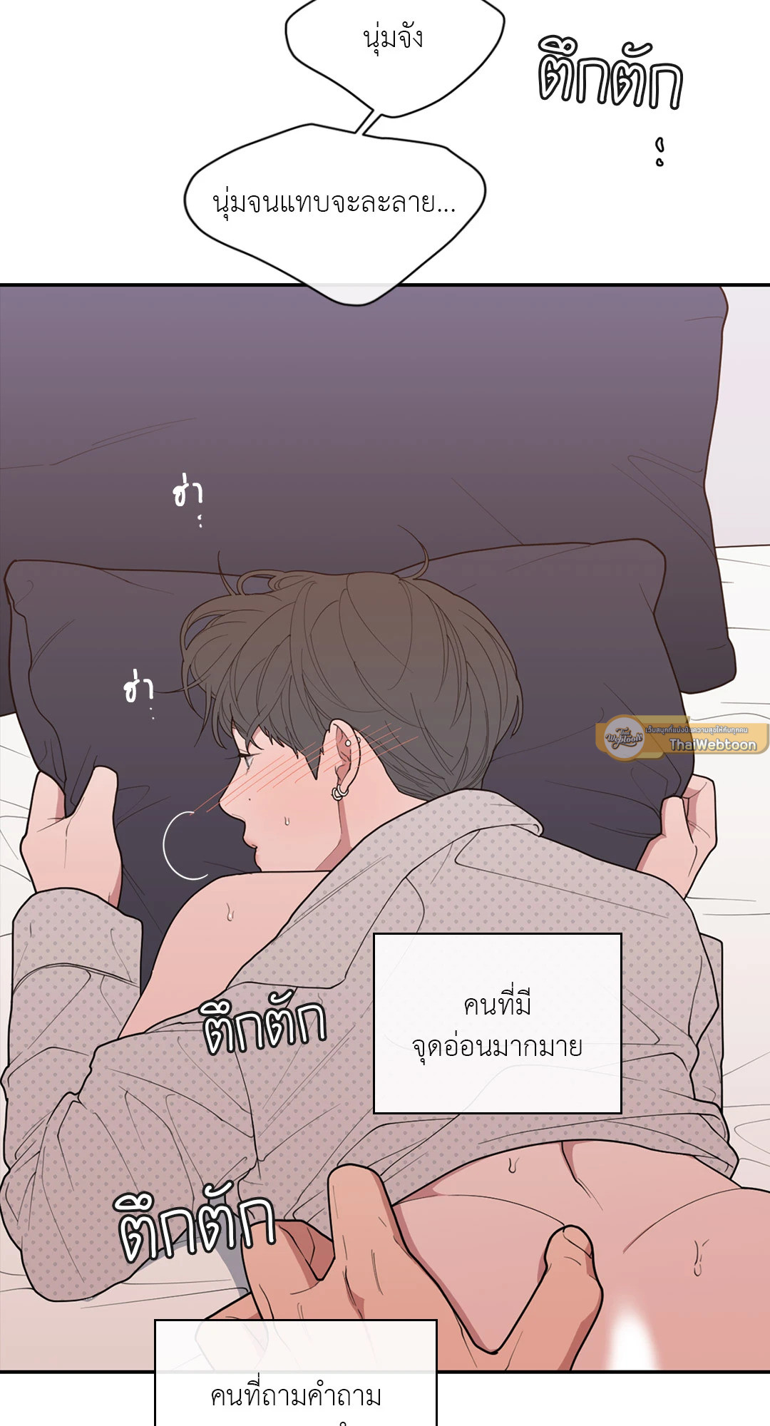 หน้า 43