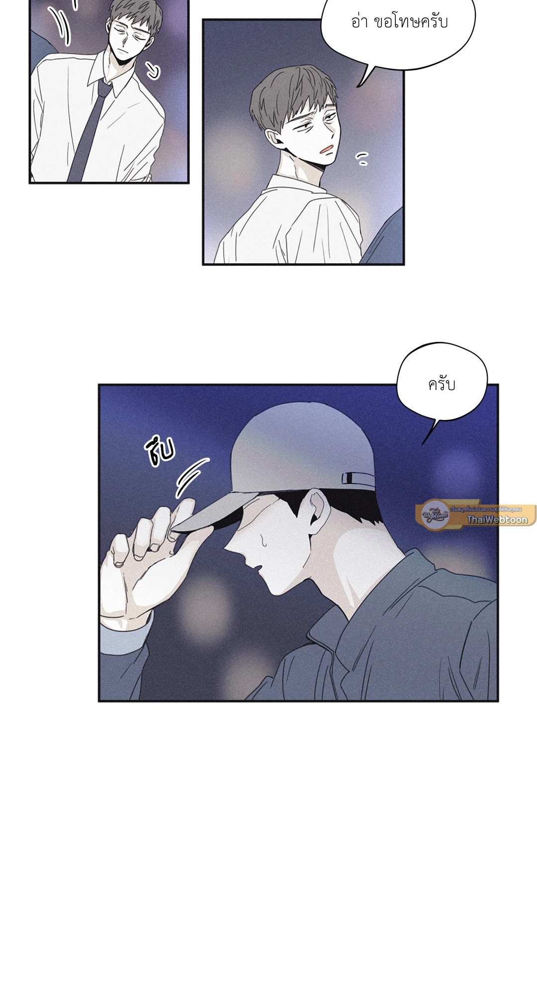 หน้า 29