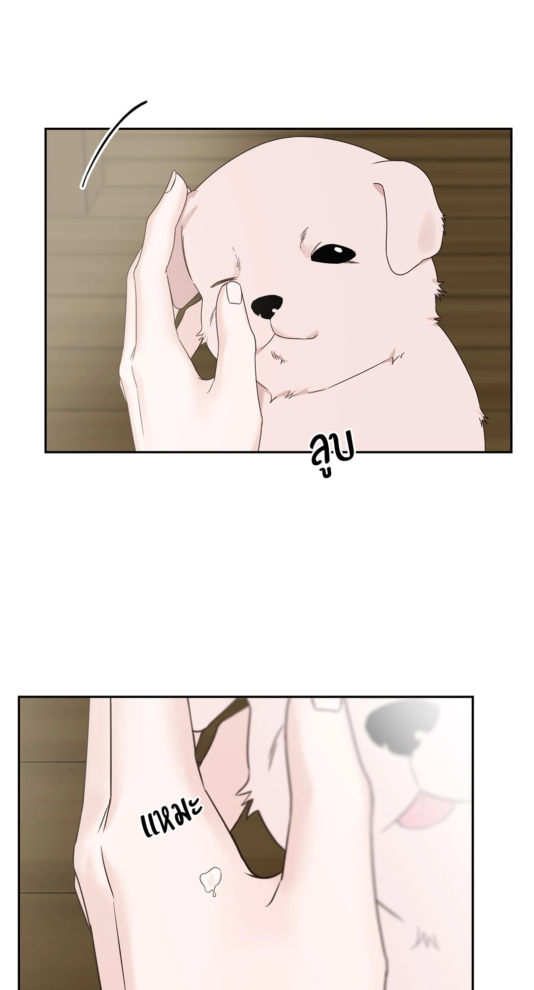 หน้า 49