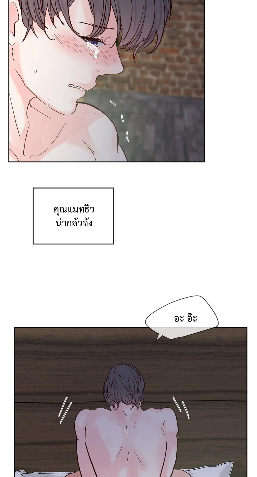 หน้า 51