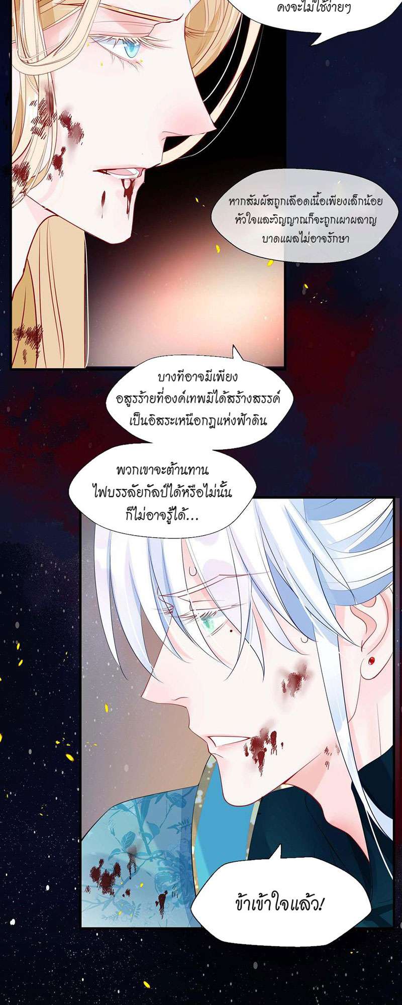 หน้า 24