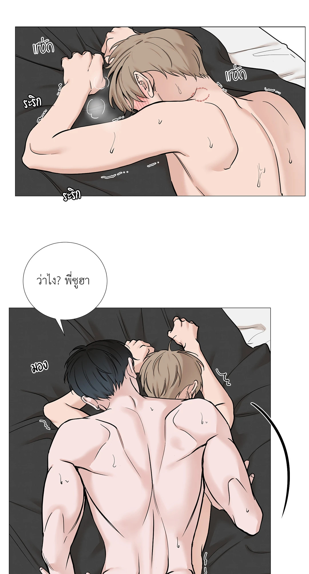 หน้า 31