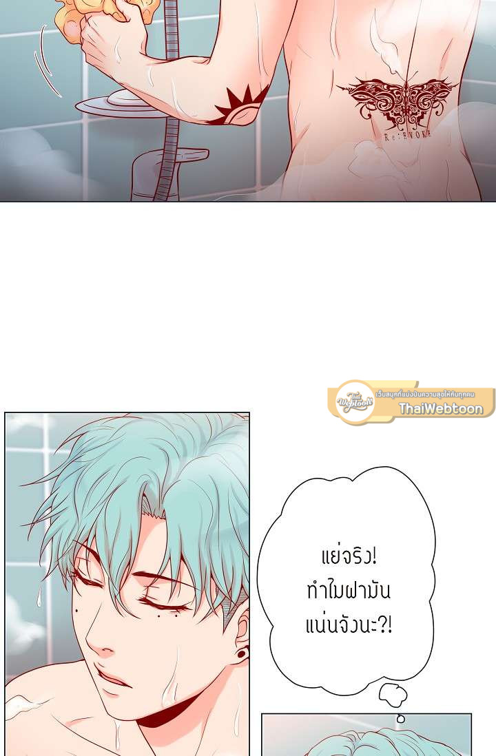 หน้า 43