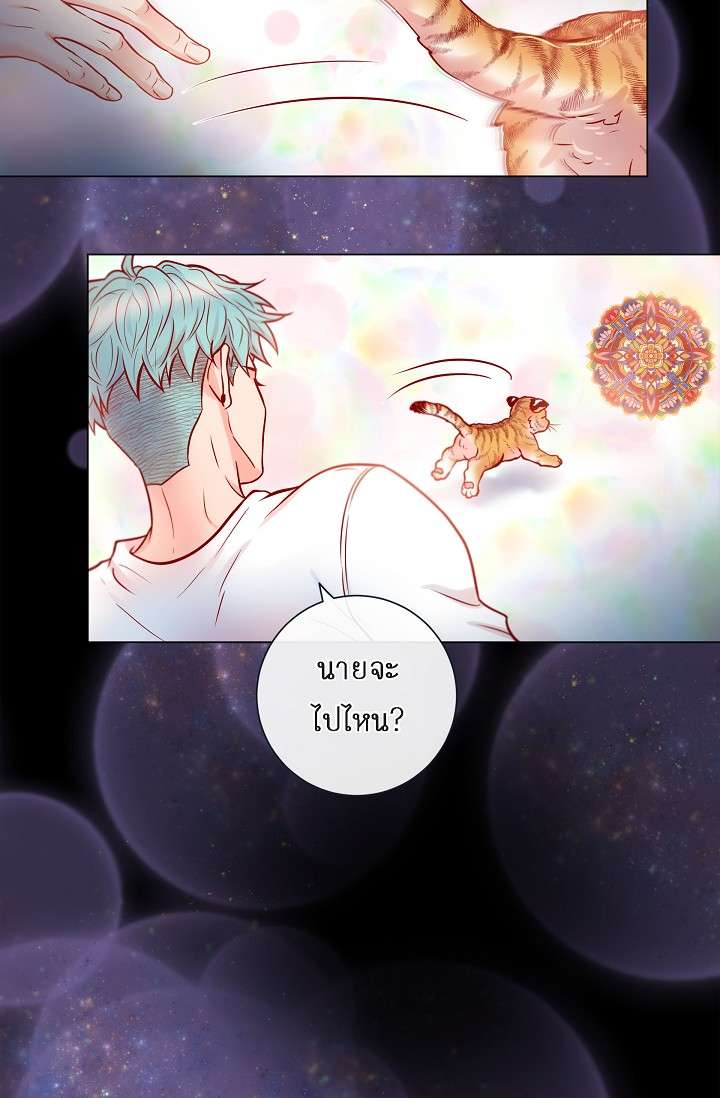 หน้า 45