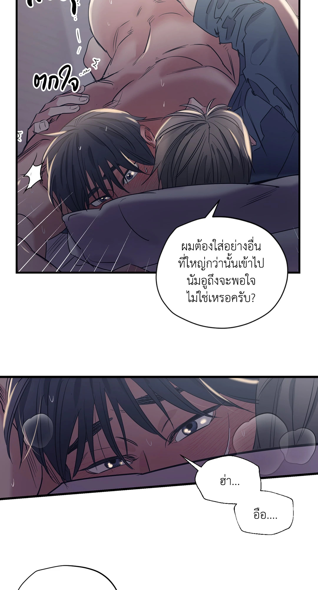 หน้า 43