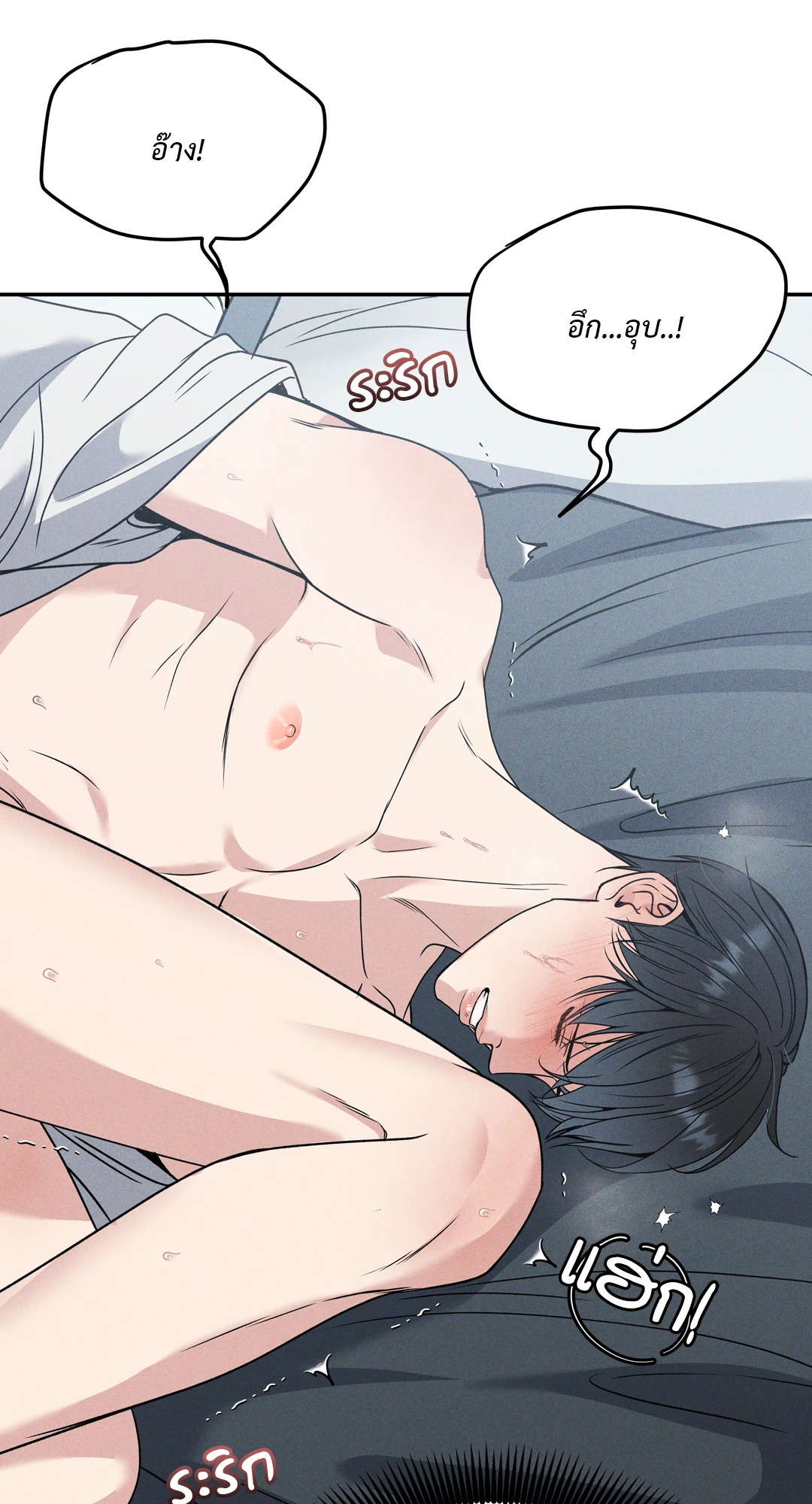 หน้า 43