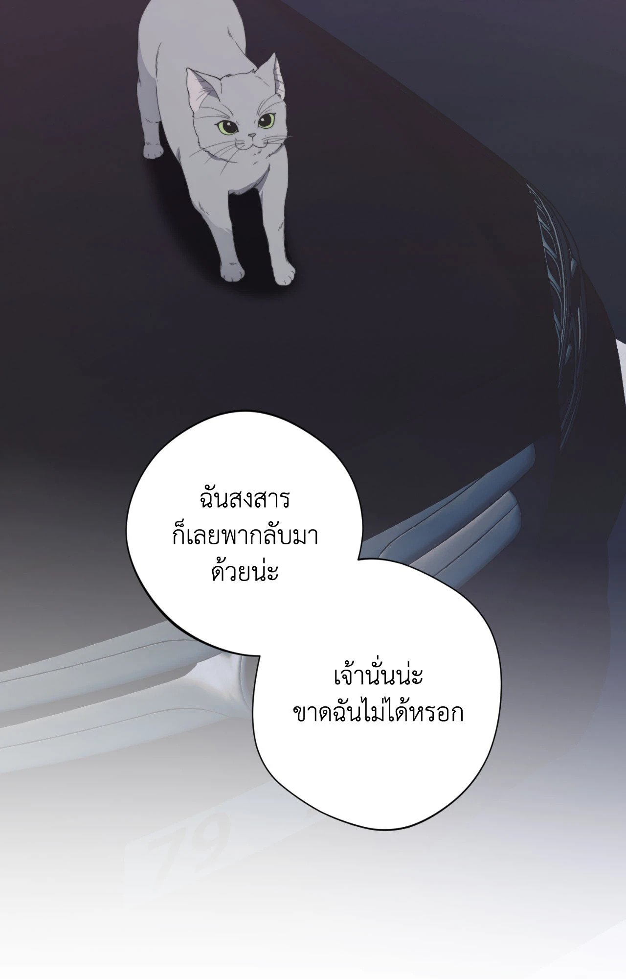 หน้า 81