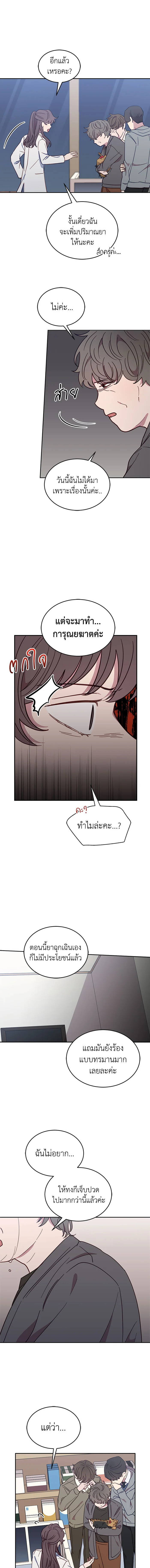 โรงพยาบาลสัตว์ไร้พรมแดน | An Animal Hospital in the Border Area ตอนที่ 21 - รูปที่ 2