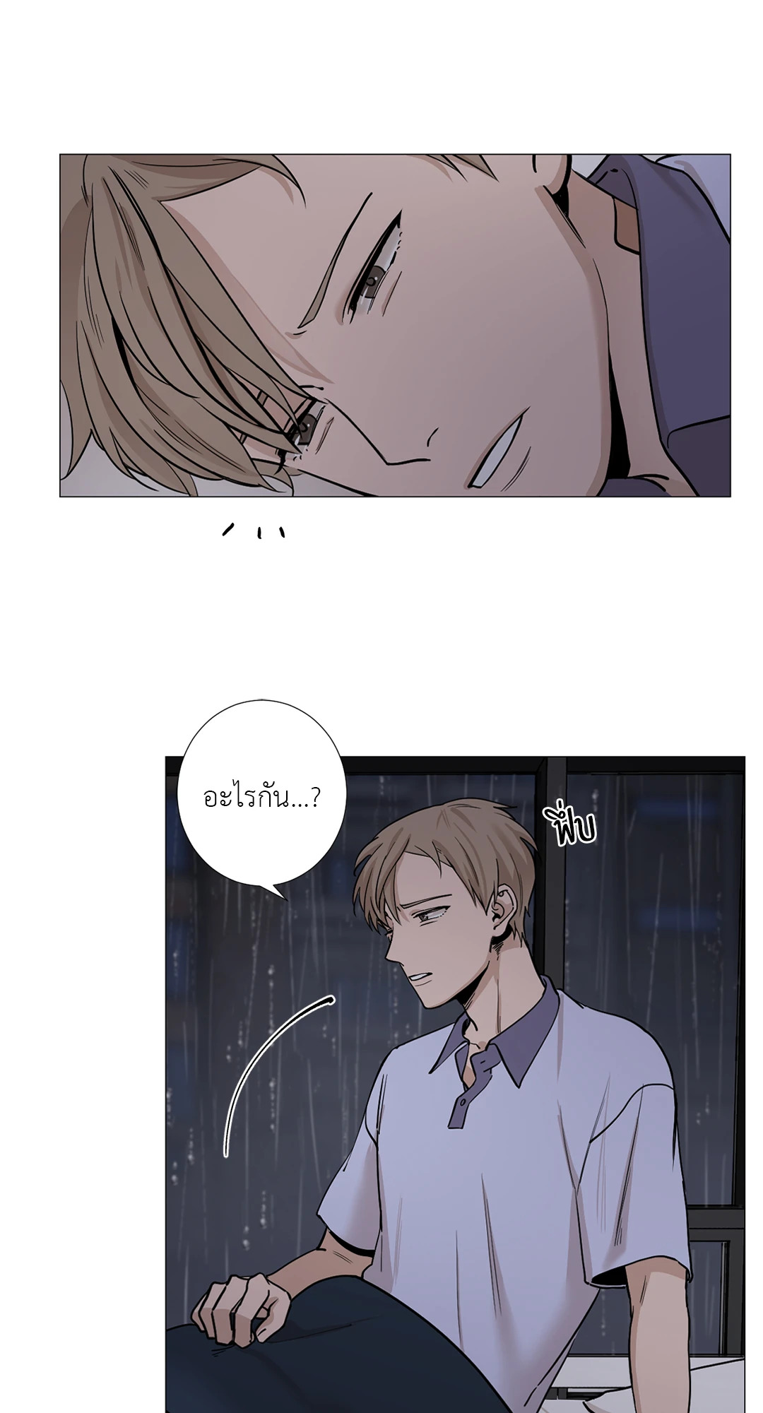 หน้า 31