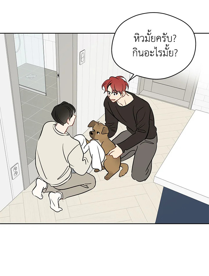 หน้า 43
