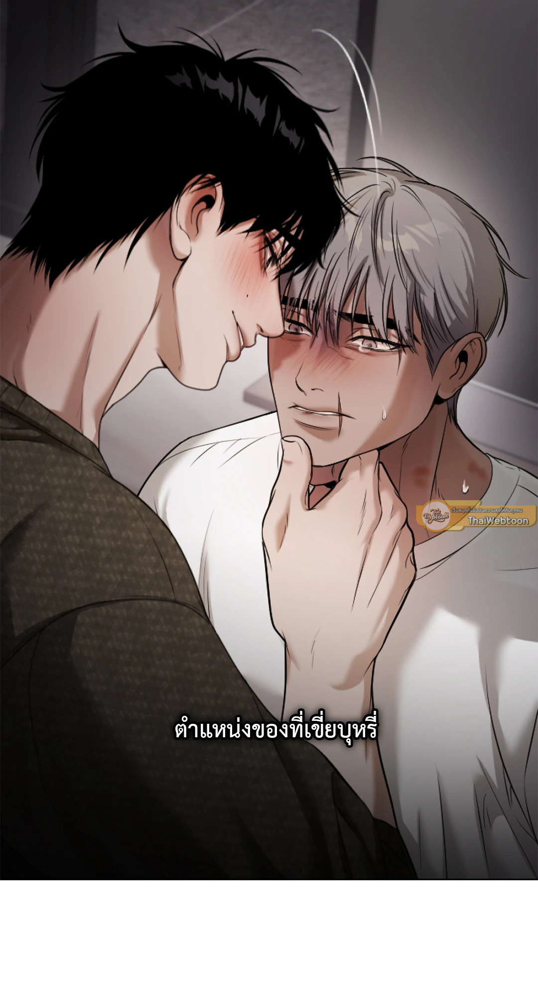 หน้า 102