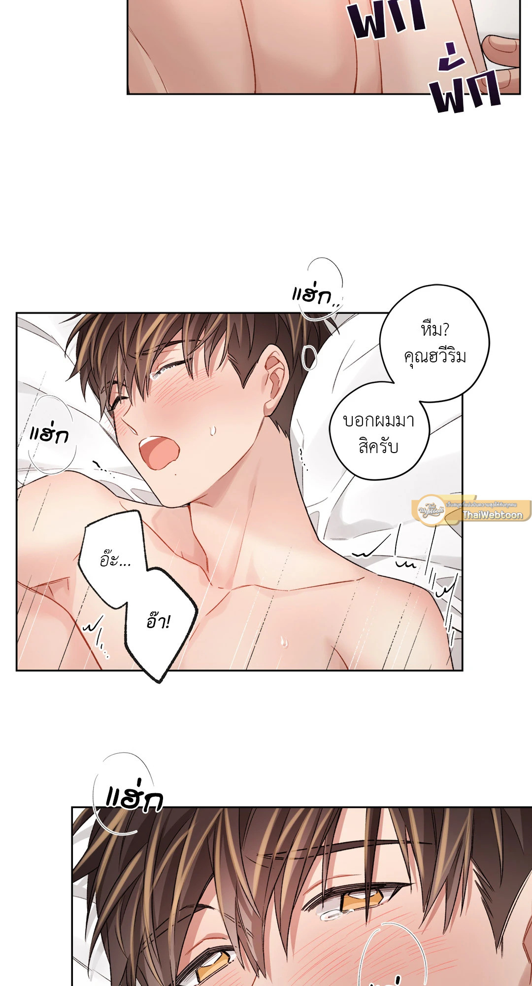 หน้า 31