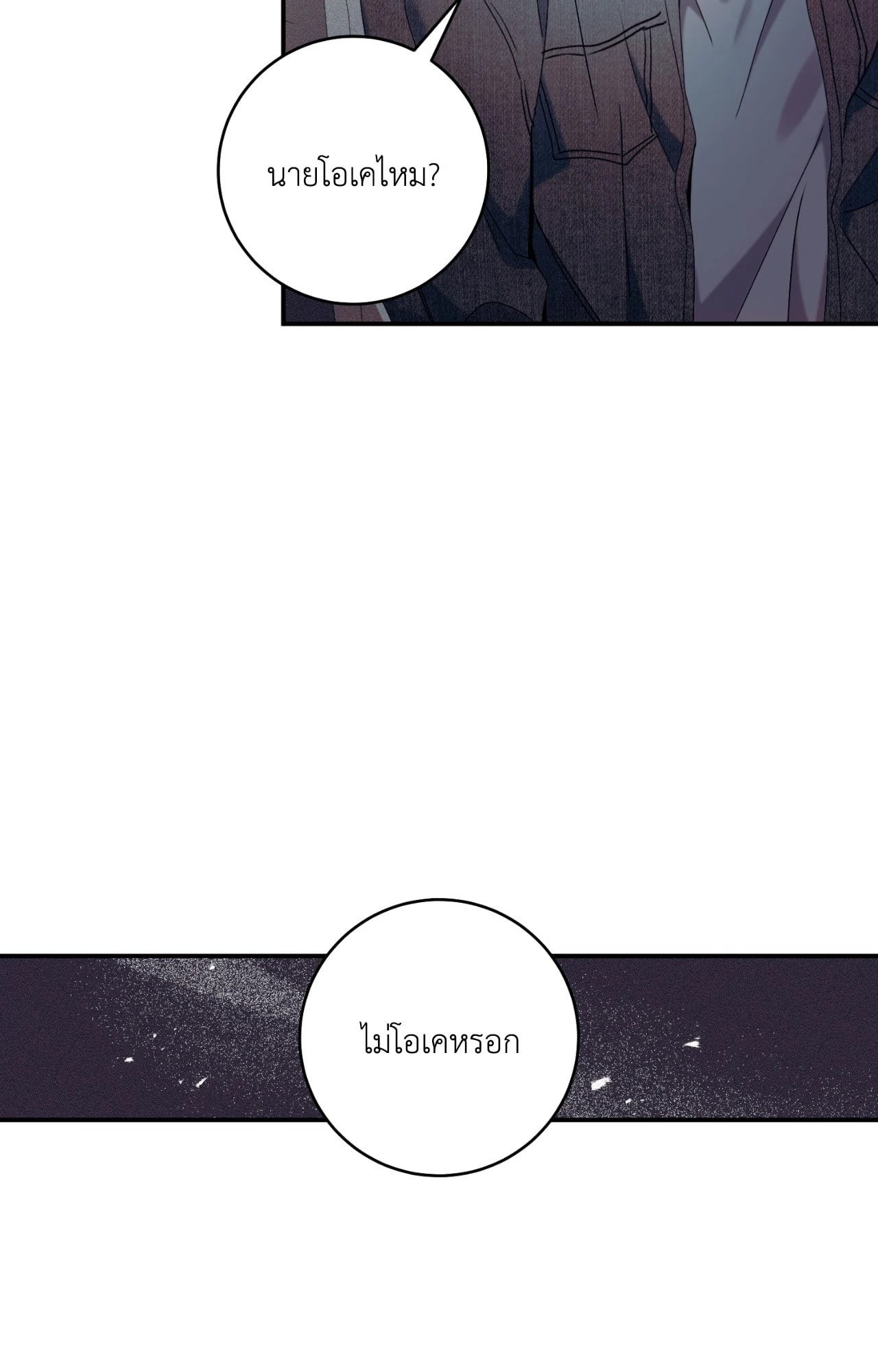 หน้า 102