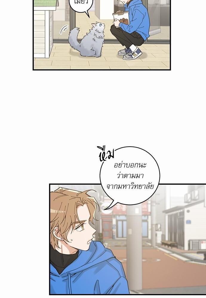 หน้า 40