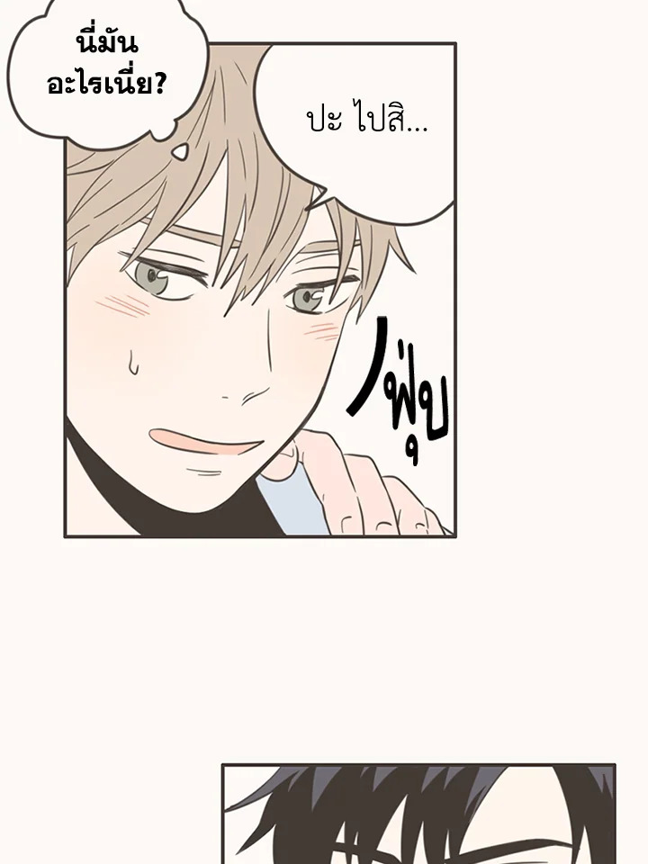หน้า 29