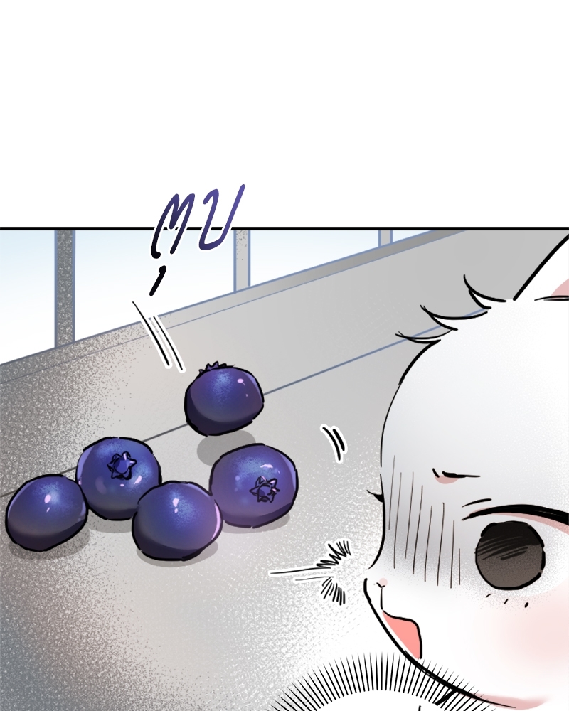 หน้า 95