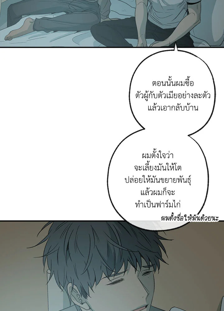 หน้า 21