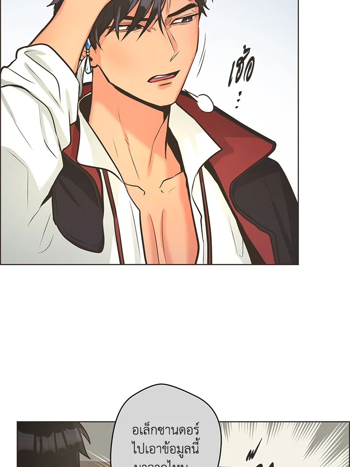 หน้า 41