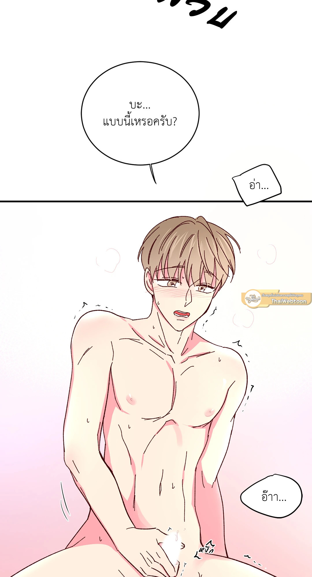 หน้า 43