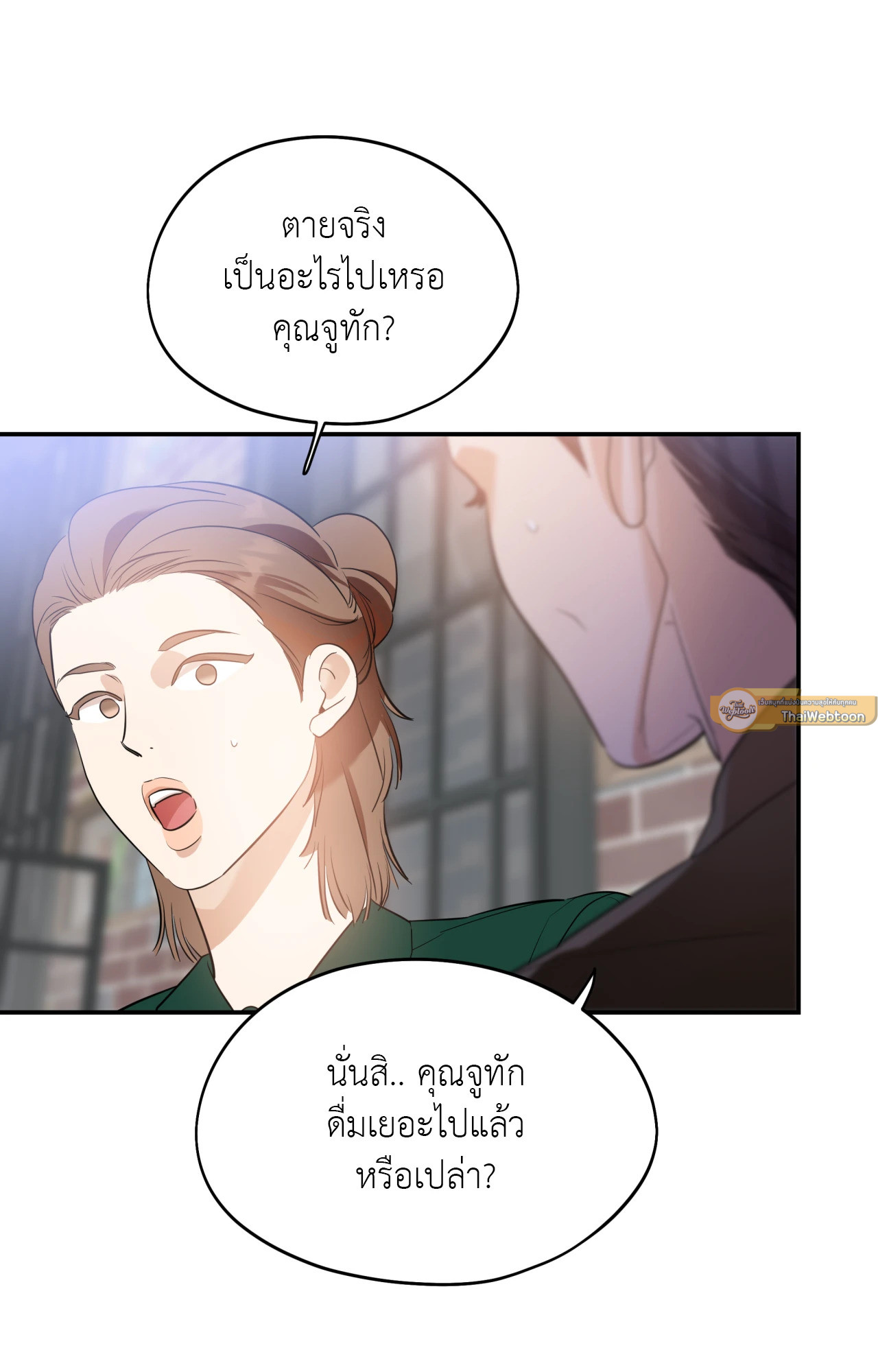 หน้า 33