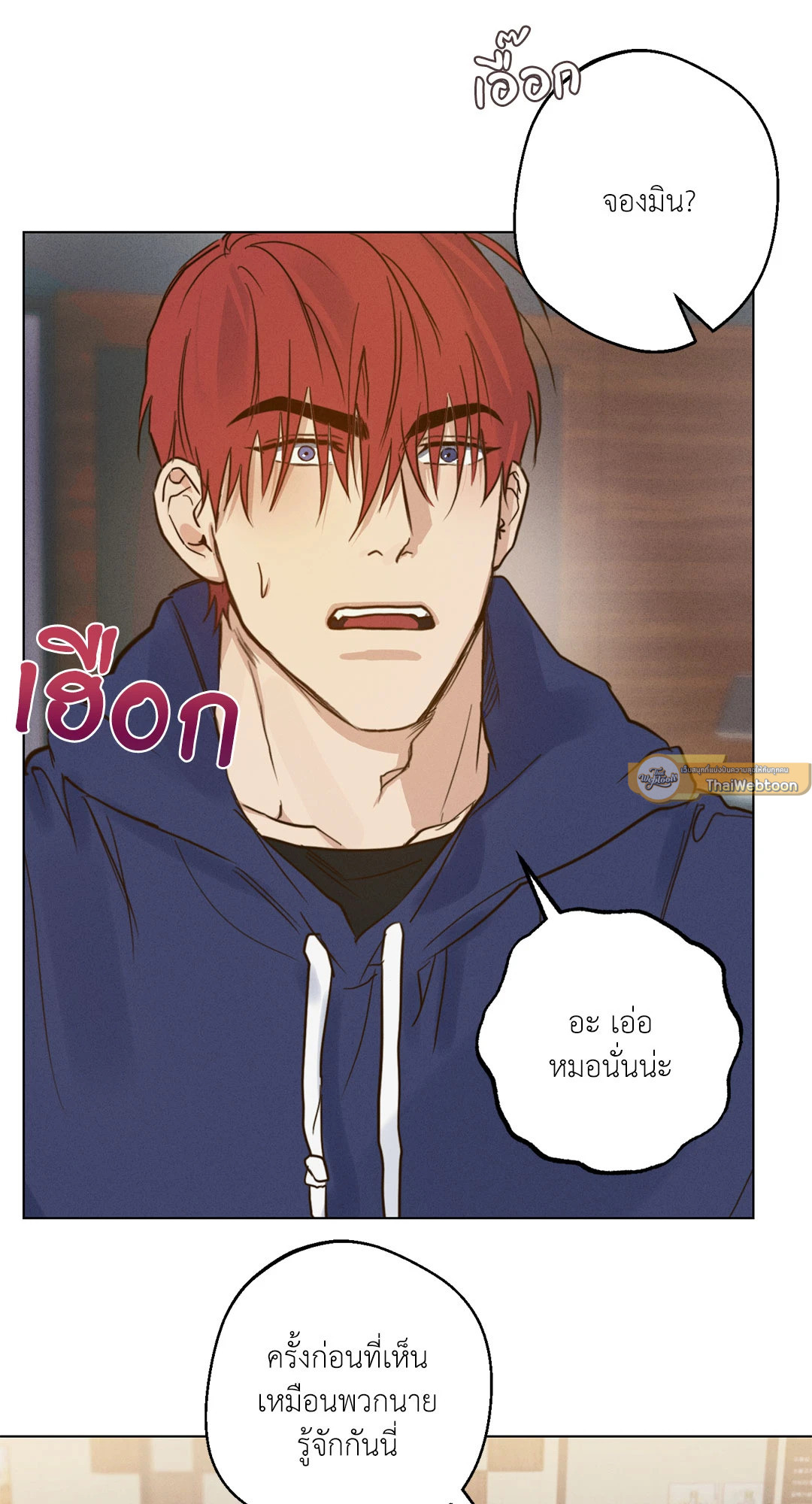 หน้า 41