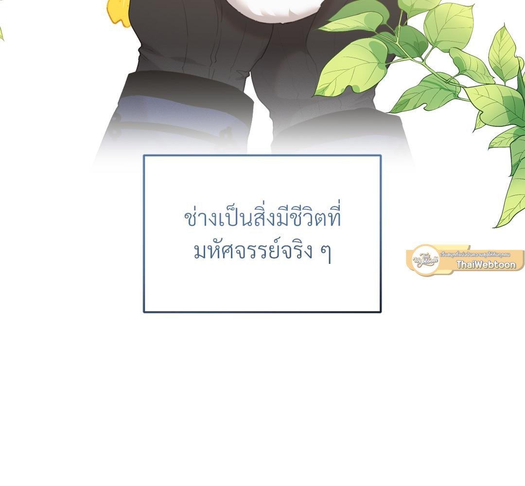 หน้า 113