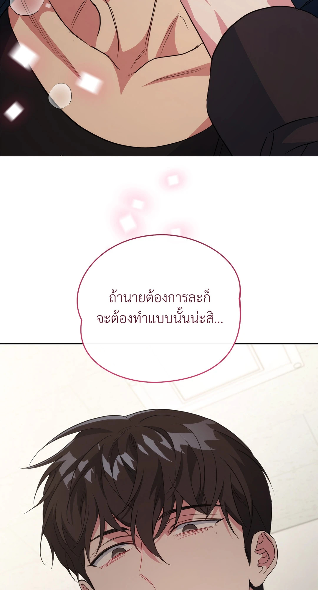 หน้า 102
