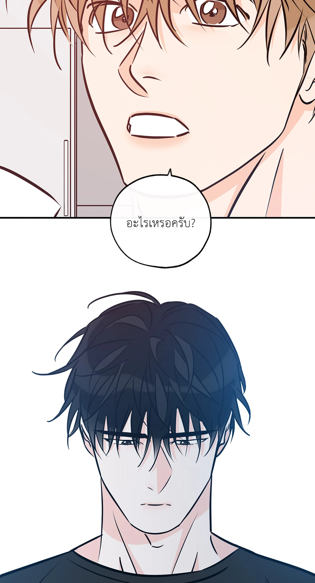 หน้า 46