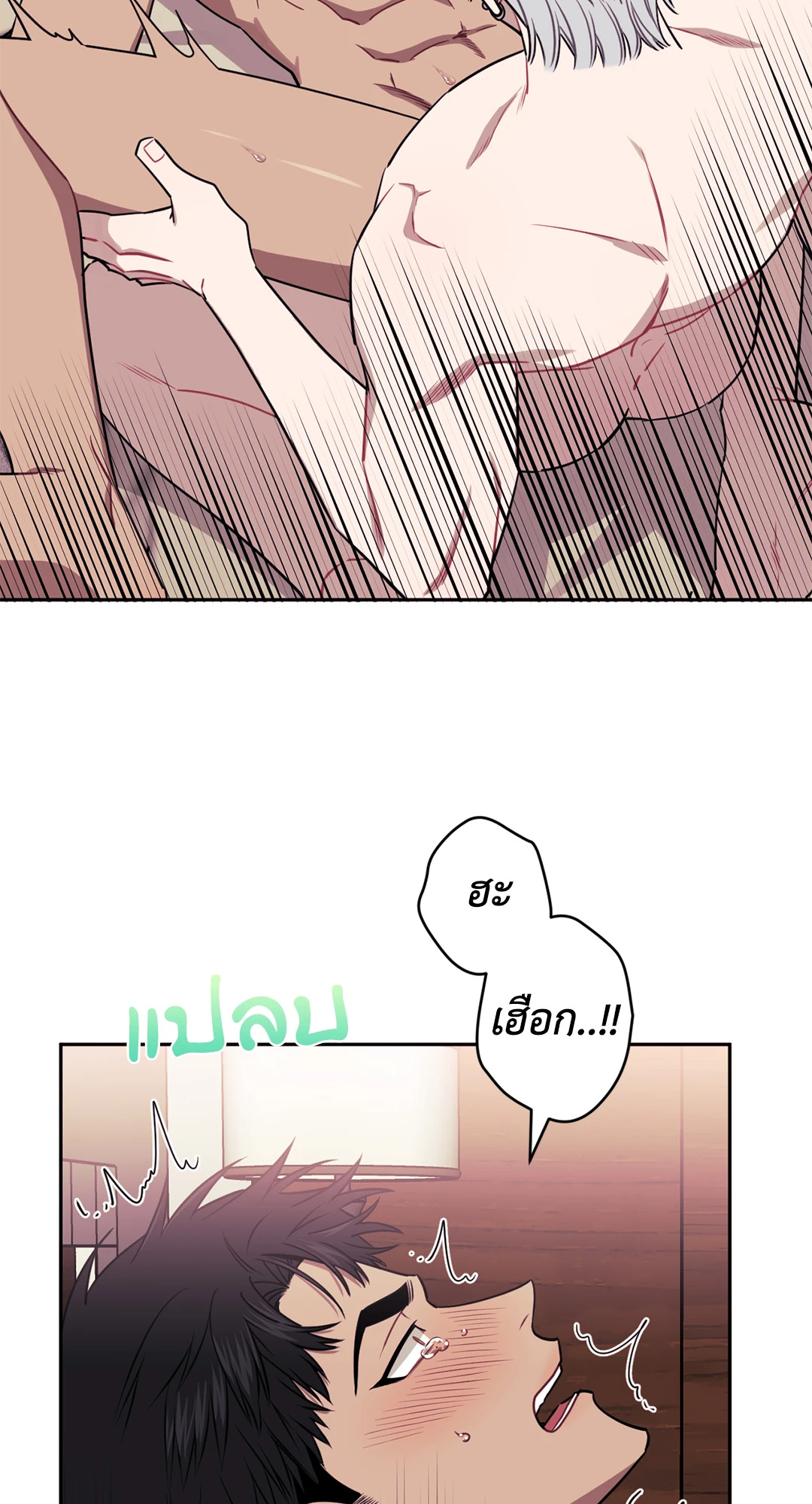 หน้า 43