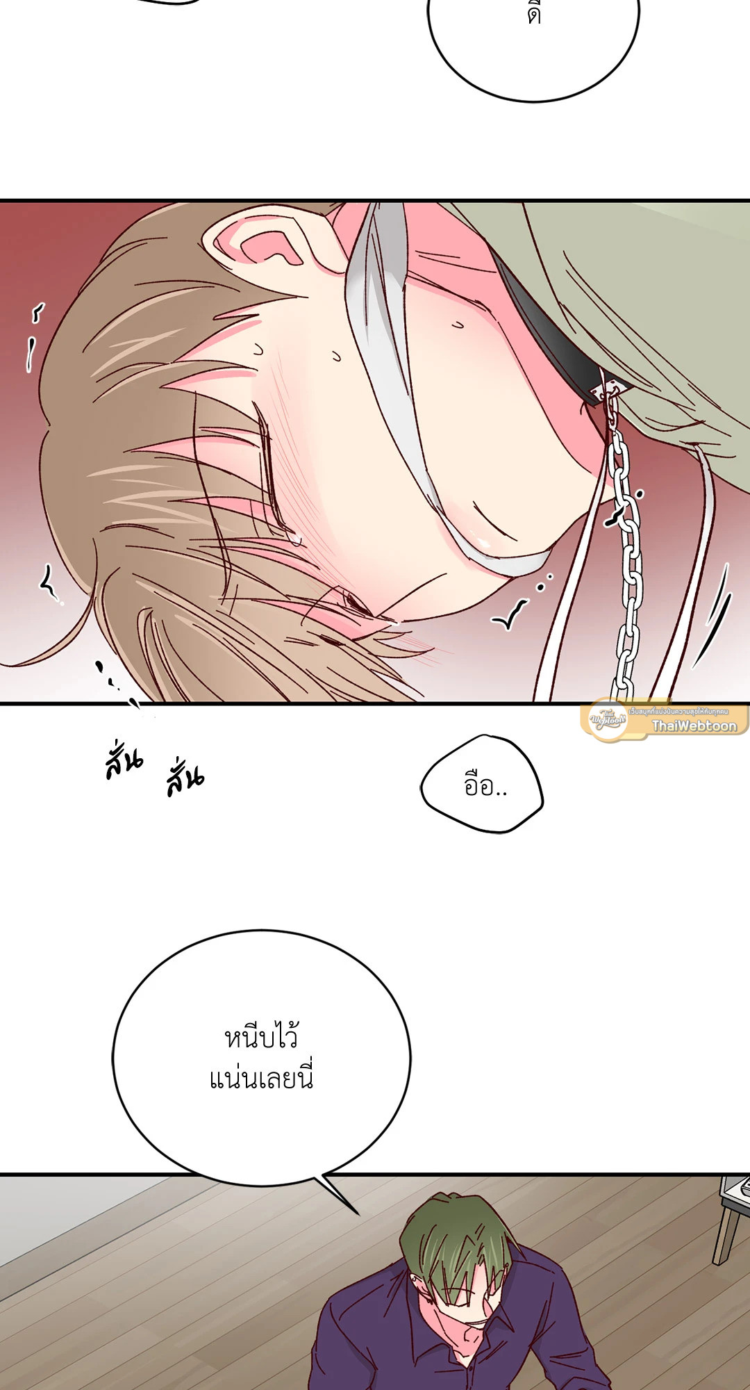 หน้า 43