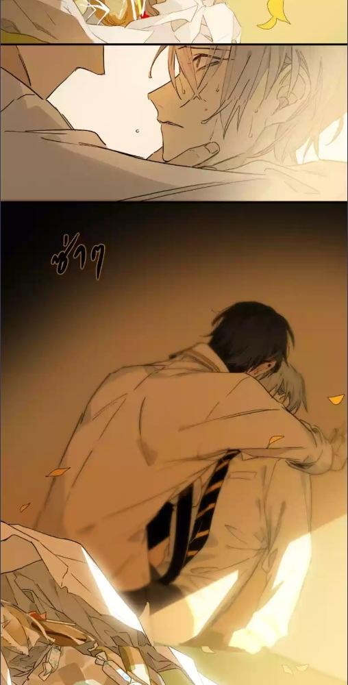 หน้า 31