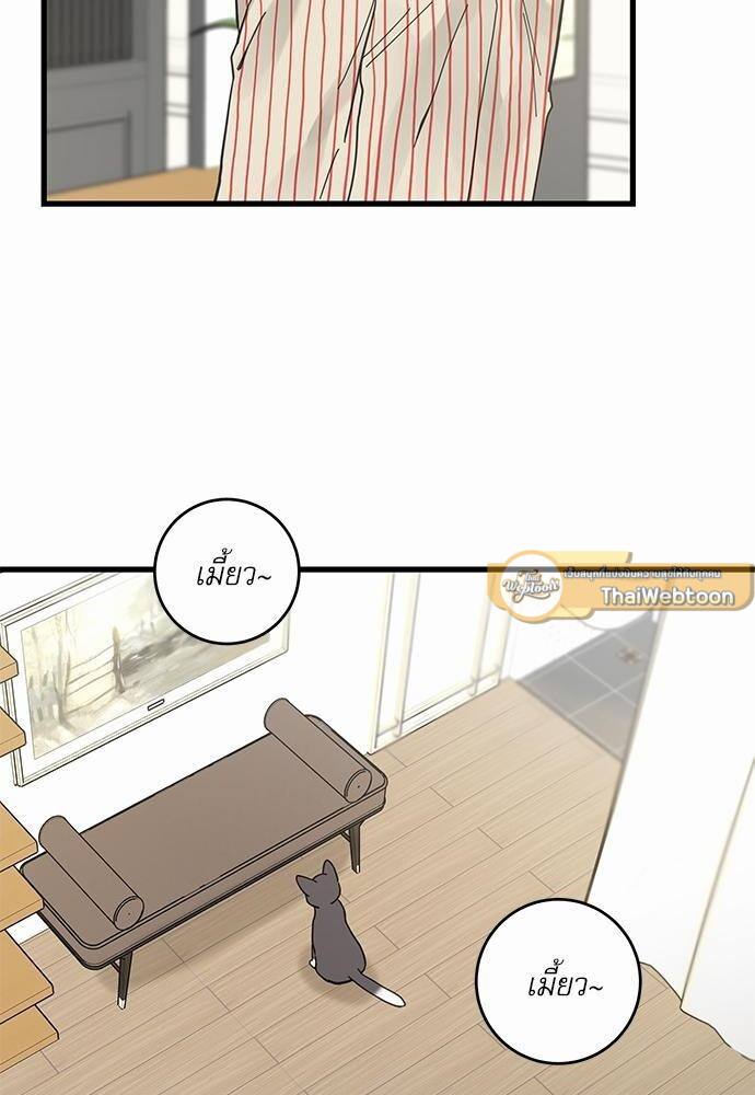 หน้า 52