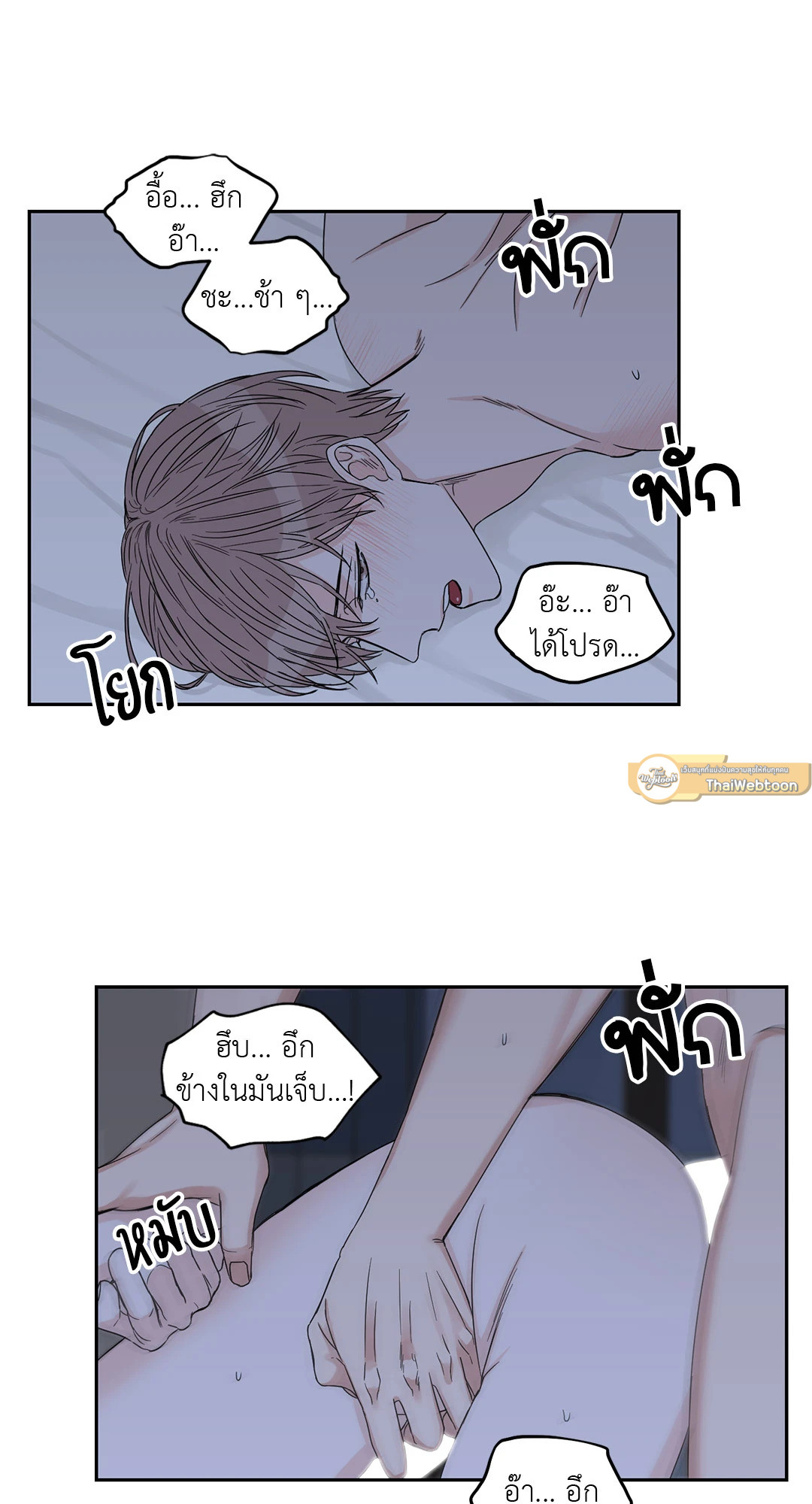 หน้า 29