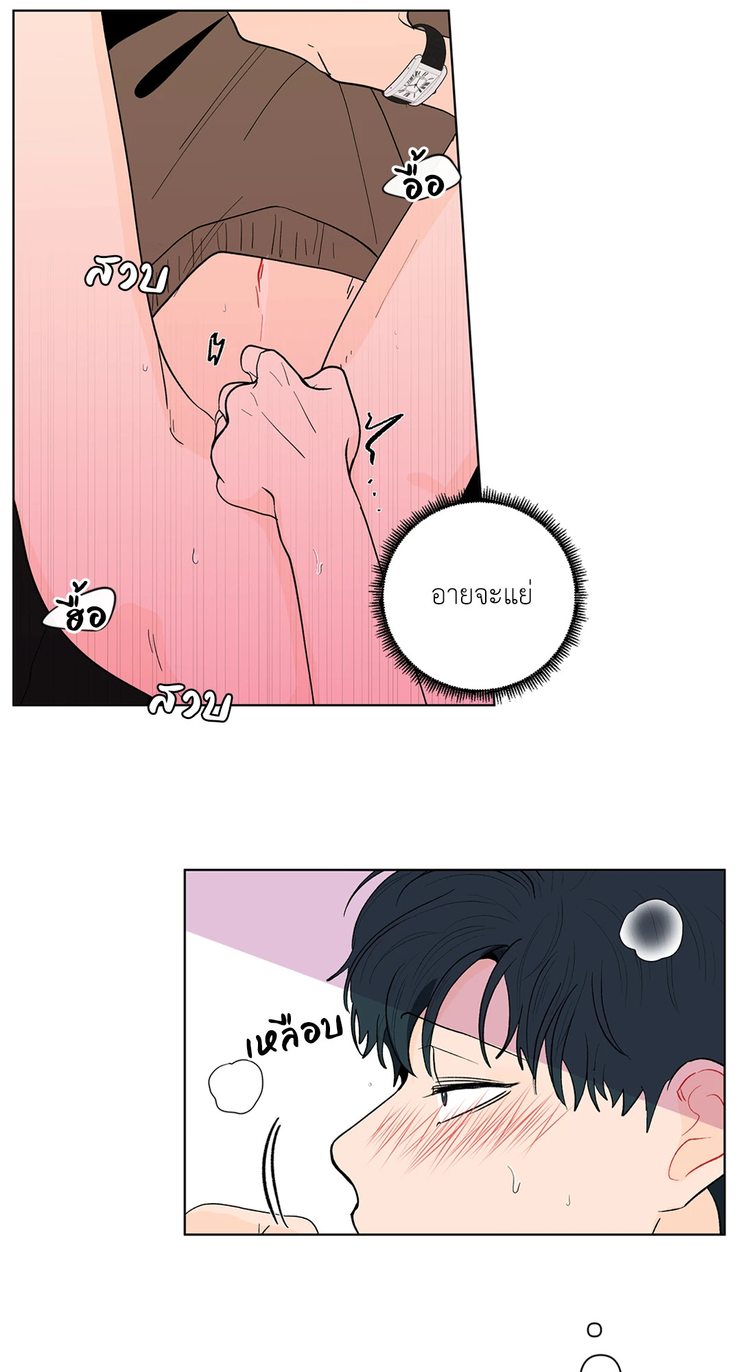 หน้า 30