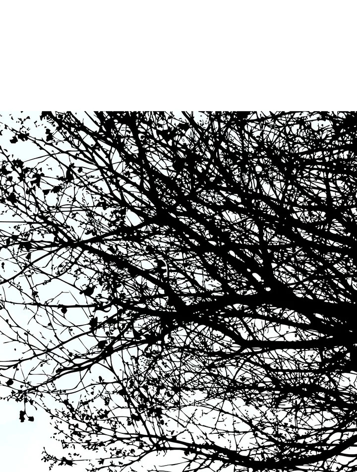 ความเห็นใจบันดาลให้ใกล้กัน | Form of Sympathy ตอนที่ 75.31 - รูปที่ 2