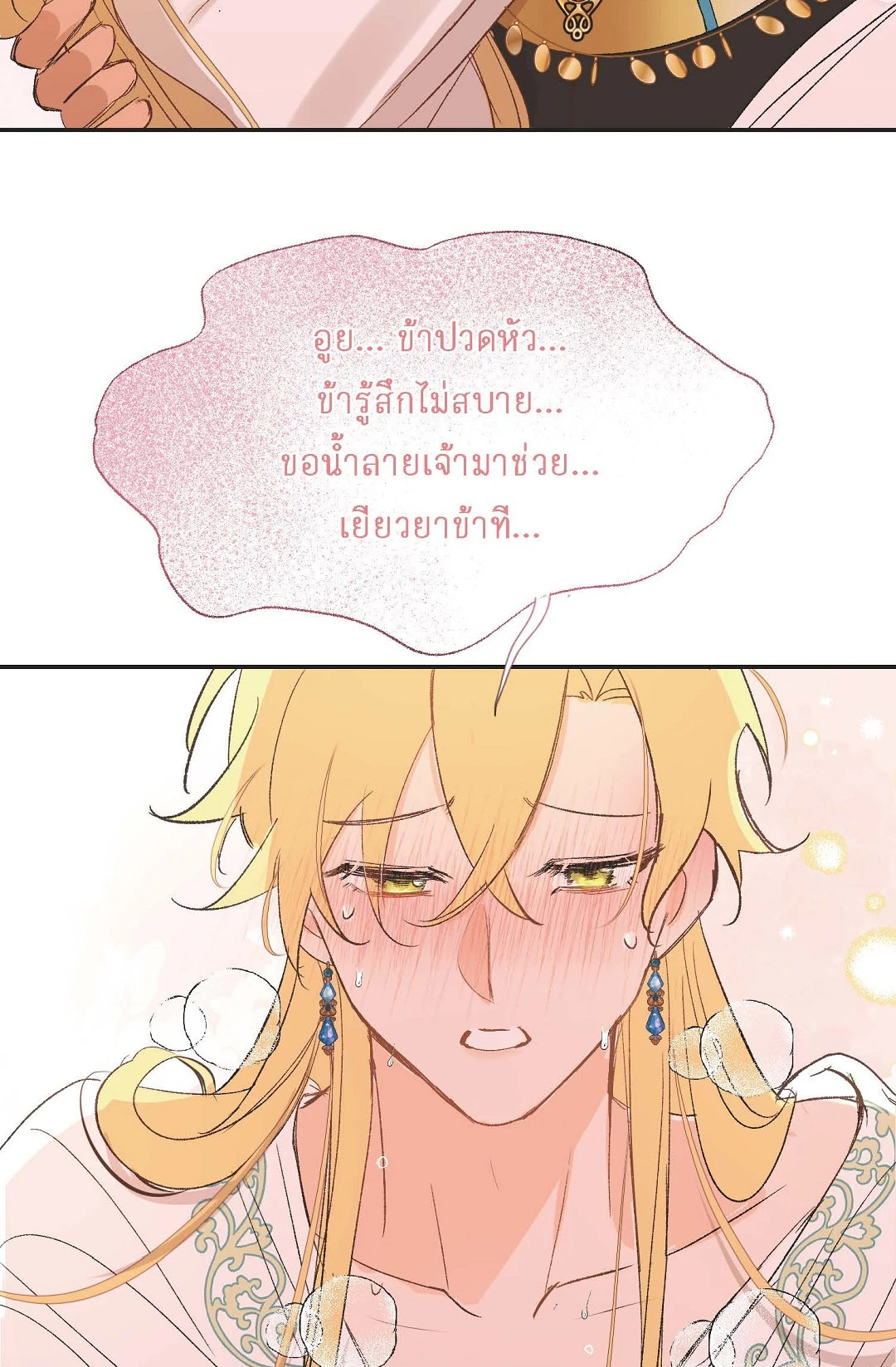 หน้า 43