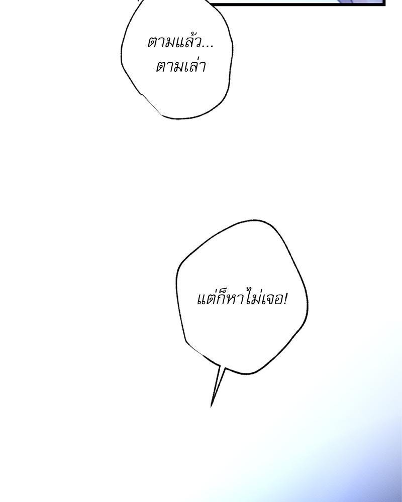 หน้า 146