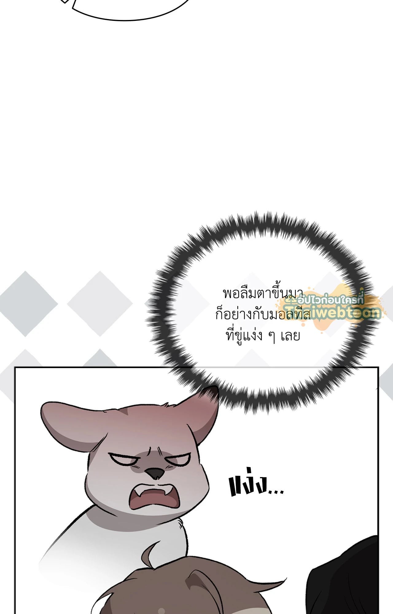 หน้า 47