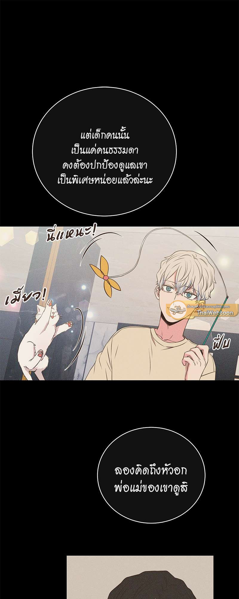 หน้า 29