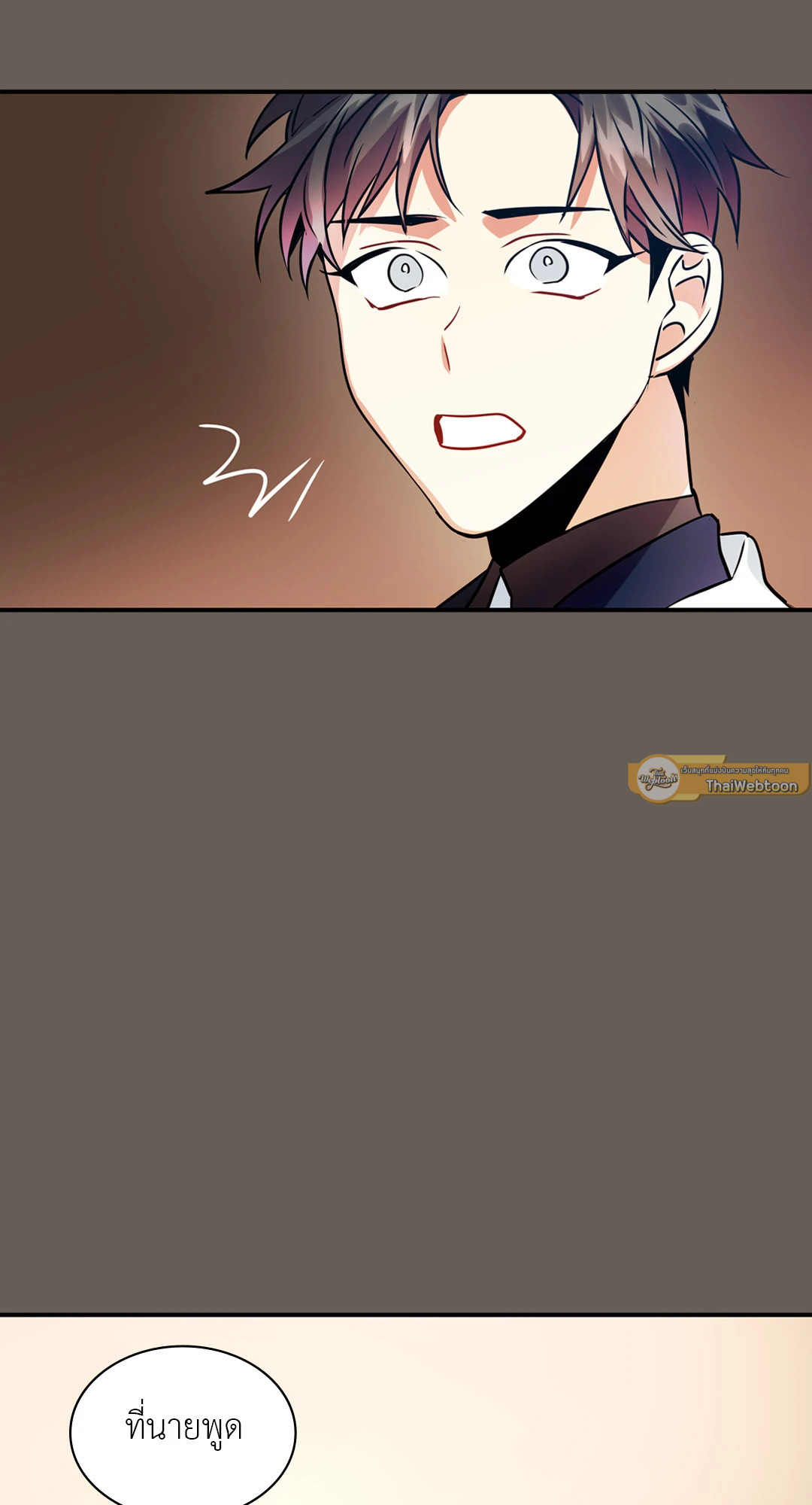 หน้า 102