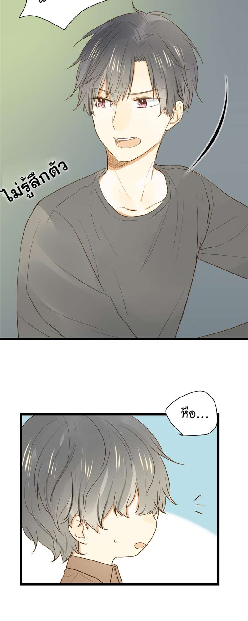 หน้า 21