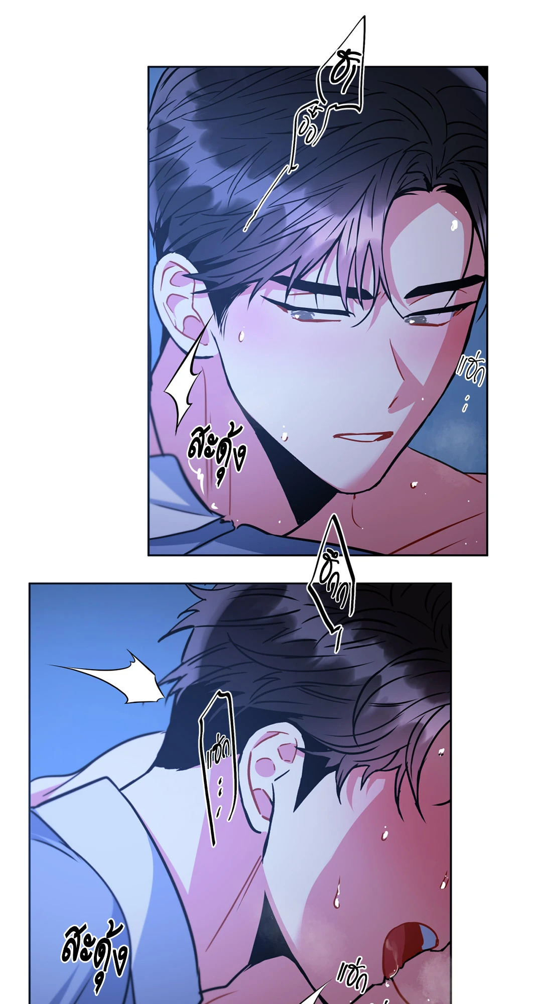 หน้า 29