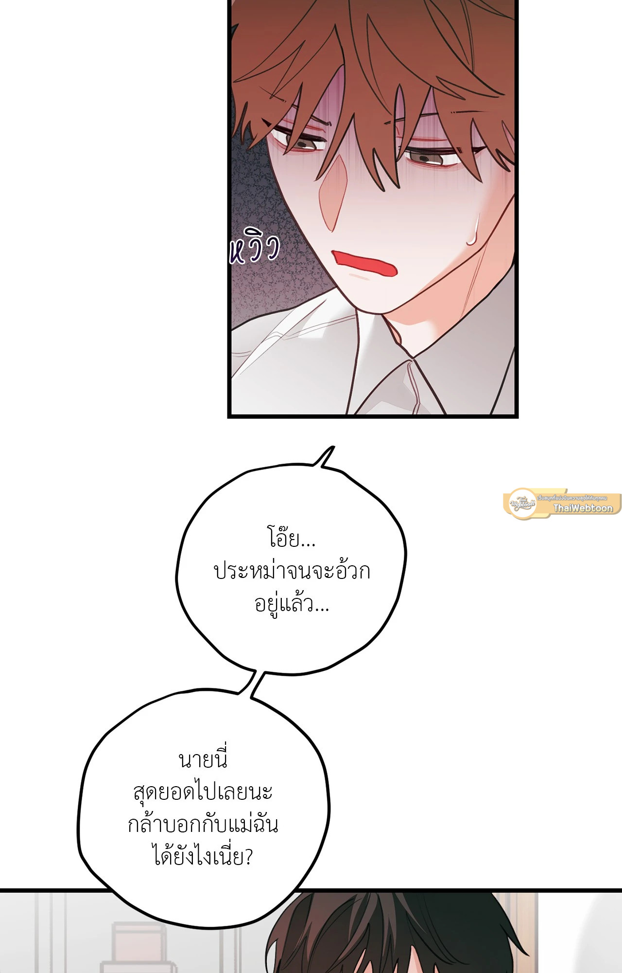 หน้า 30