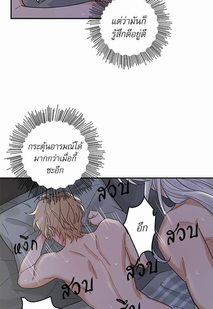 หน้า 42