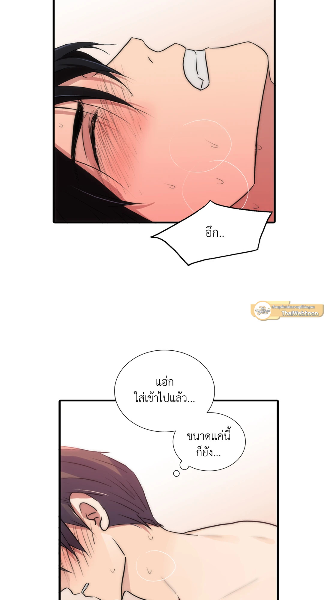 หน้า 51