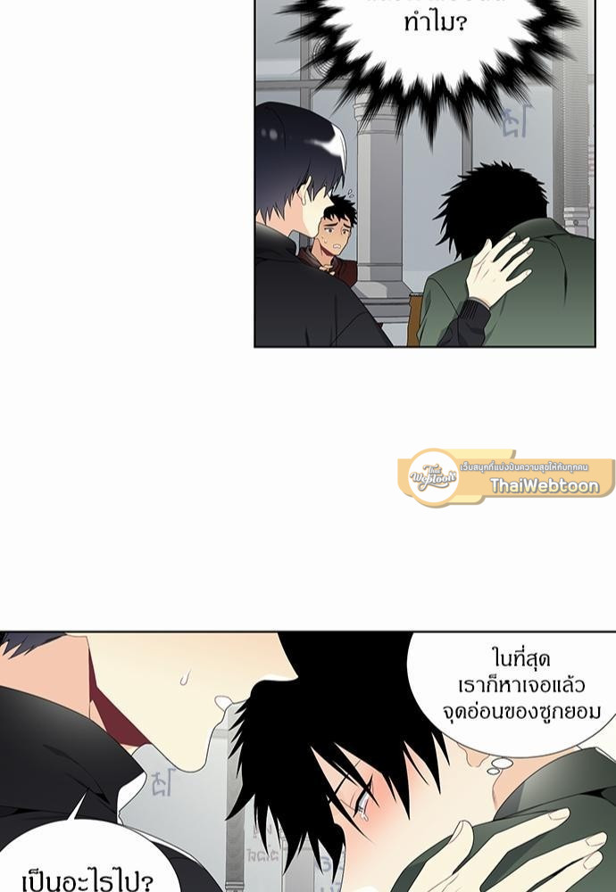 หน้า 43